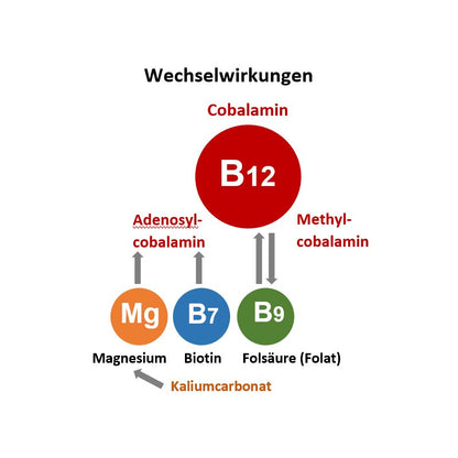 telomit® B12plus-Komplex nach Dr. Probst